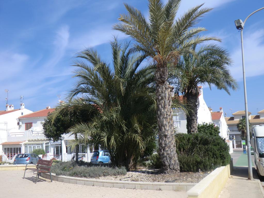 Casas Holiday - Playa La Mata 1 Torrevieja Exteriér fotografie